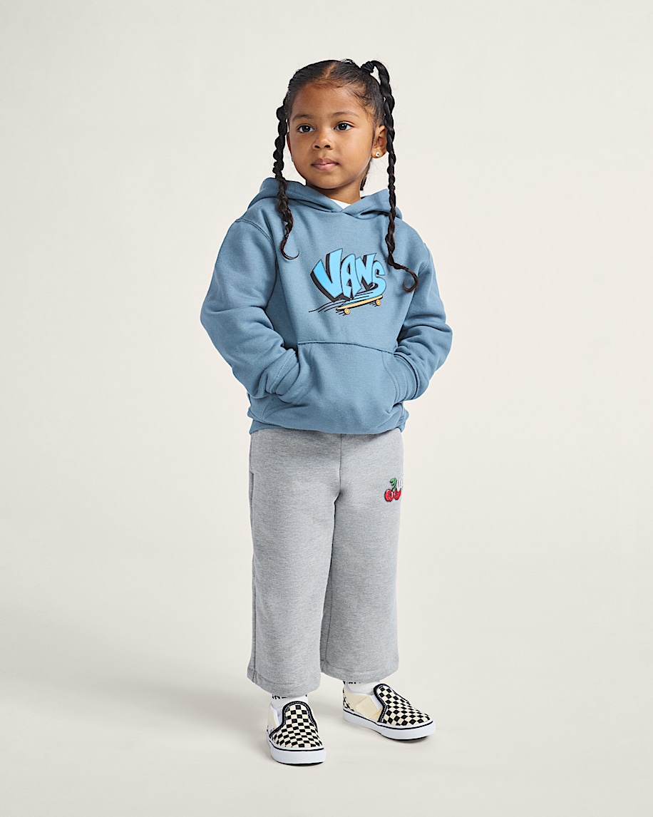 little kids vans sk8 pullover hoodie