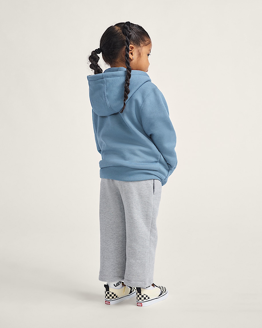 little kids vans sk8 pullover hoodie