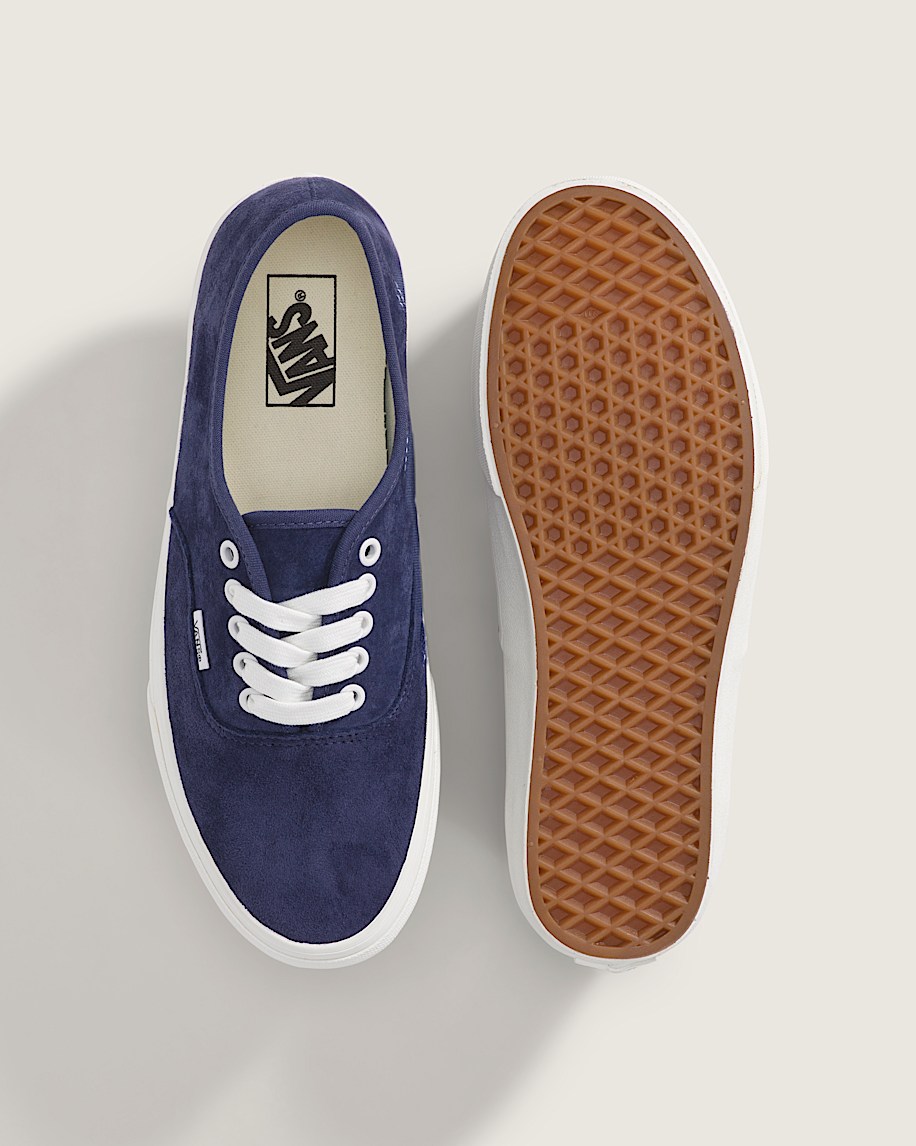 skate authentic shoe