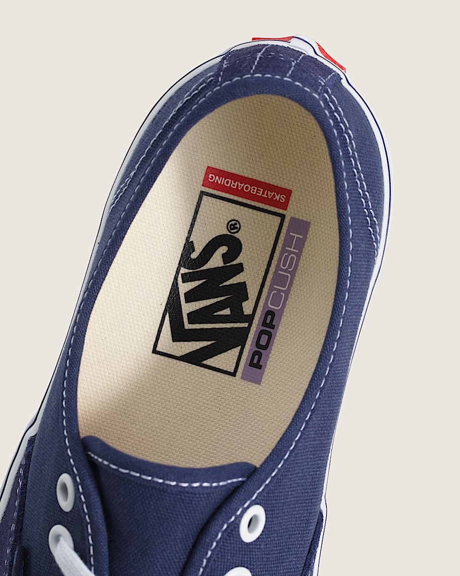 skate authentic shoe