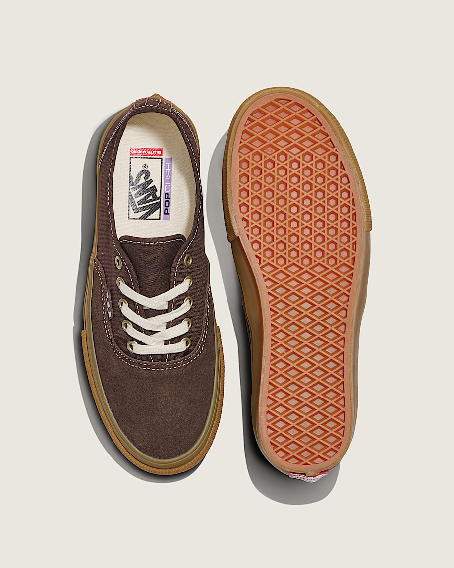 skate authentic shoe