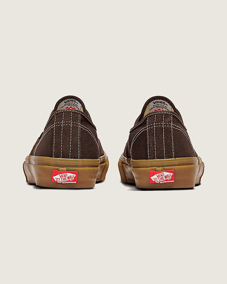 skate authentic shoe