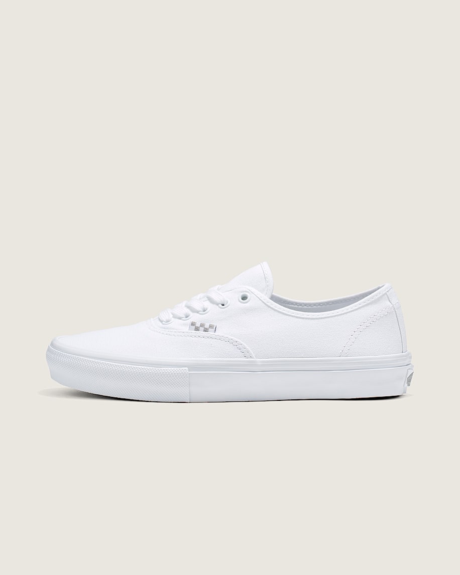skate authentic shoe