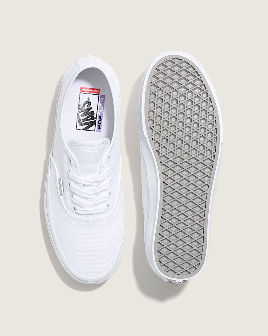 skate authentic shoe