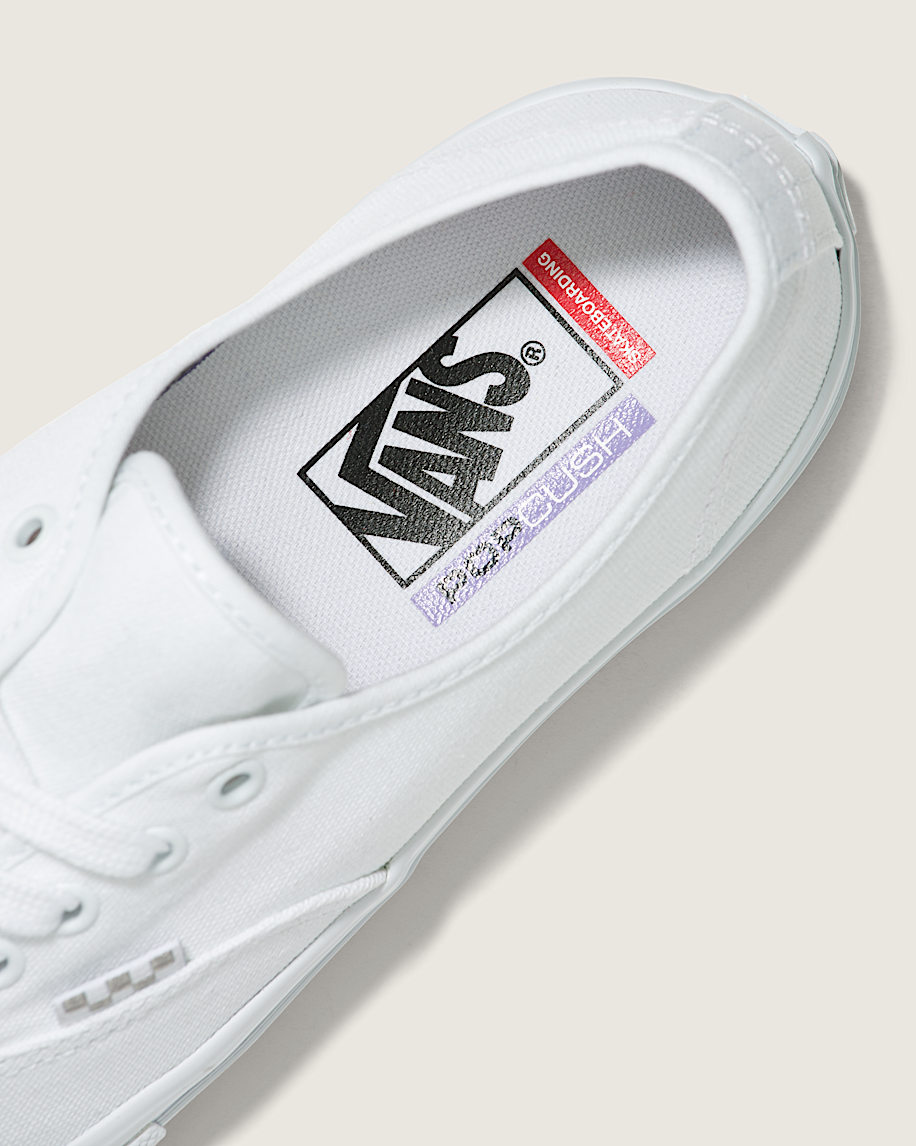 skate authentic shoe