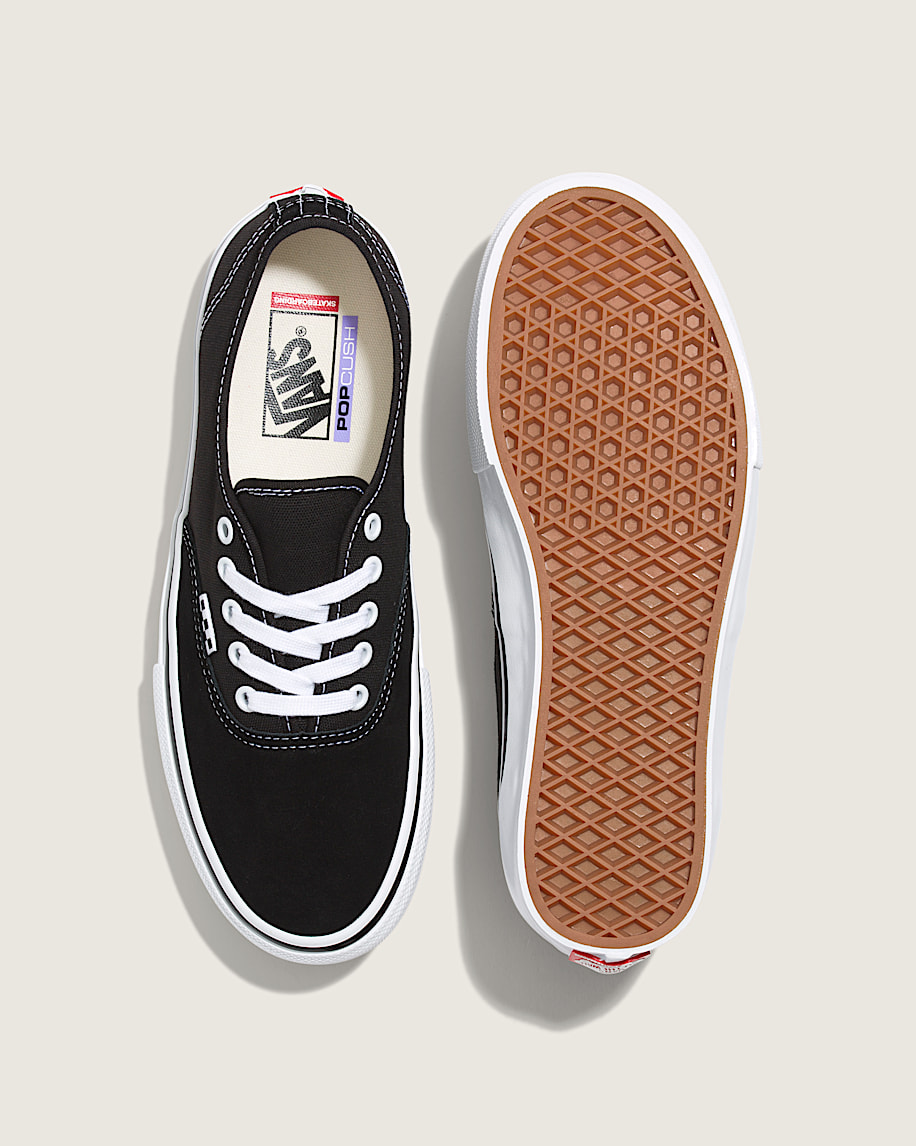 skate authentic shoe